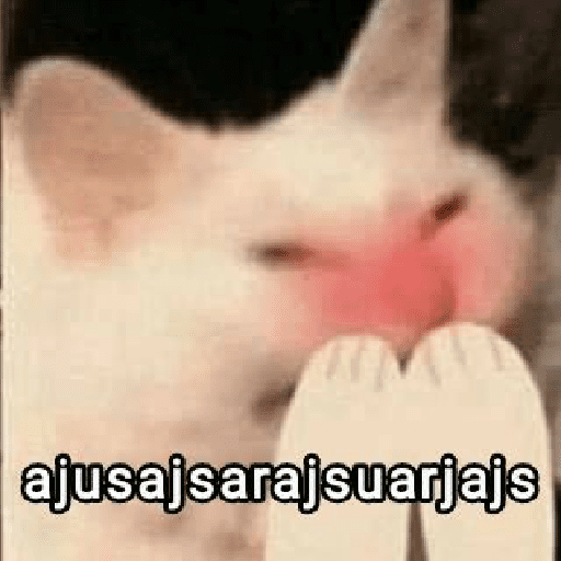 Aleatório  13
