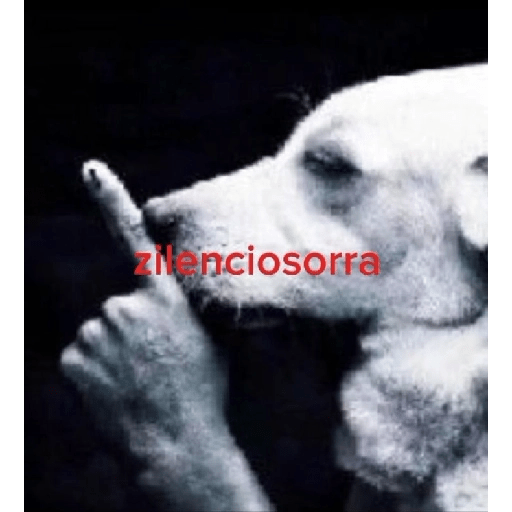 Ahora eres mi waifu si lo lees 4