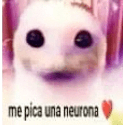 Ahora eres mi waifu si lo lees 20