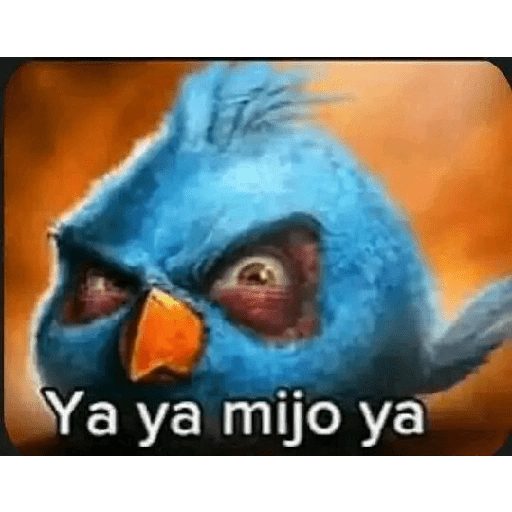 Ahora eres mi waifu si lo lees 29