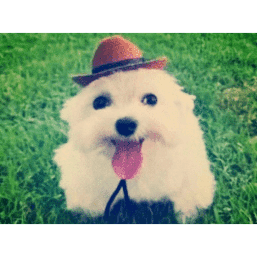 Ayy💜