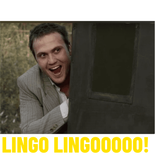 Novos 7