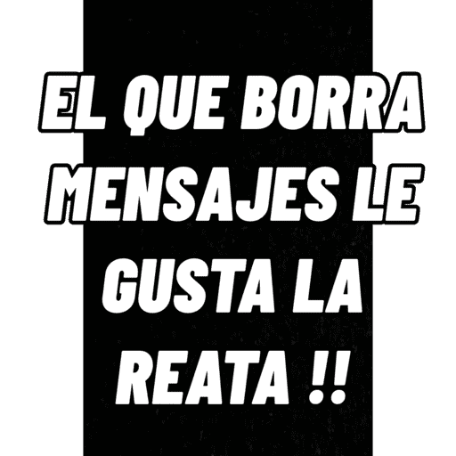 Risa8 4