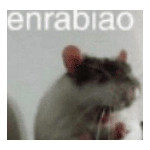 Memes mix random shitpost 8