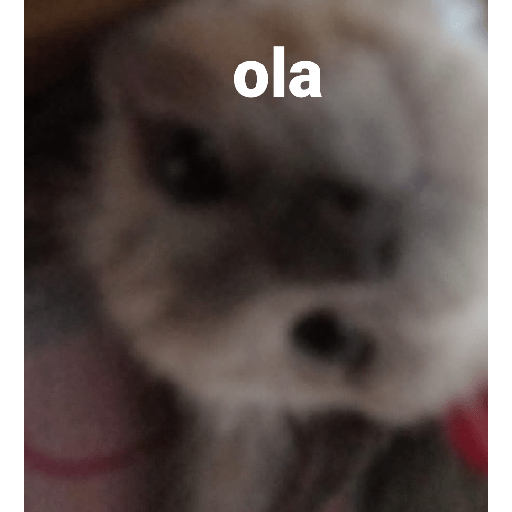 -1624269725.png