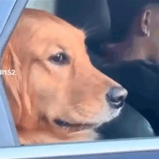 Gifs 9
