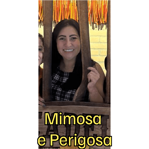Minhas figurinhas 12