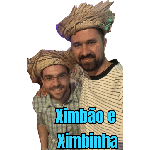 Minhas figurinhas 13