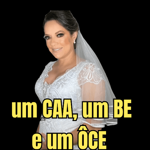 Minhas figurinhas 24