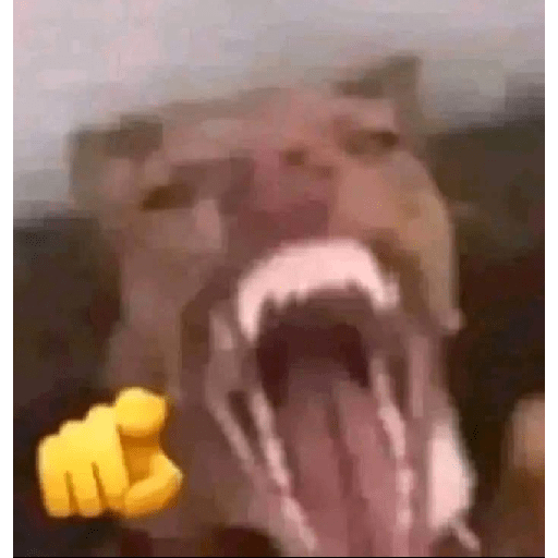 Xdd 24
