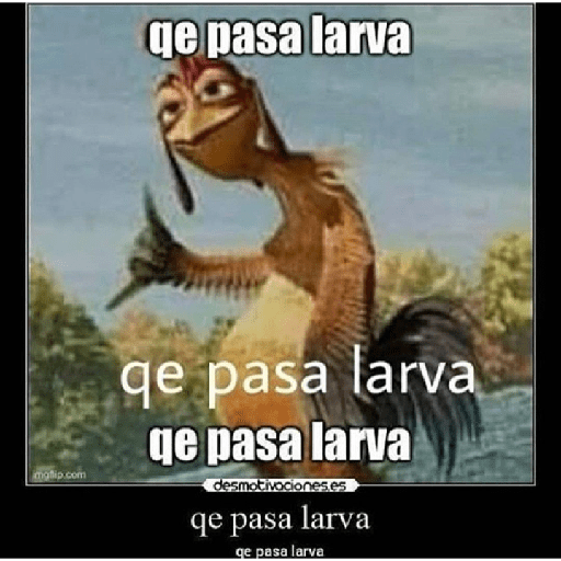 😎👌💪👍 13