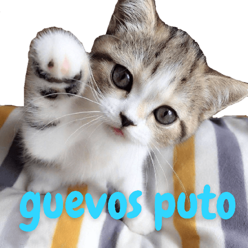 My gatitos 4