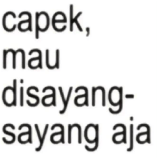 Cahcil 28