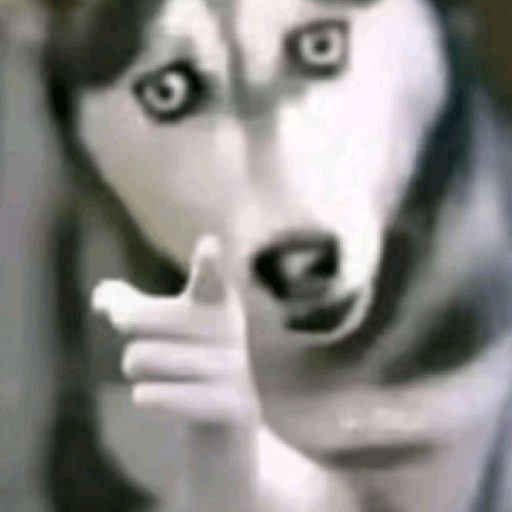 Cahcil 20