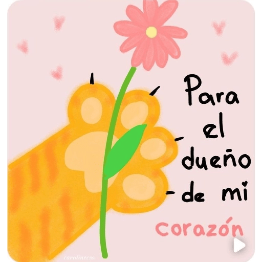 Para el guapo de mi novio 15