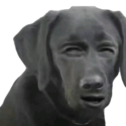 Memes chistosos 27