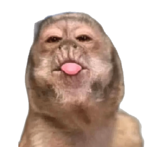 Memes chistosos 10