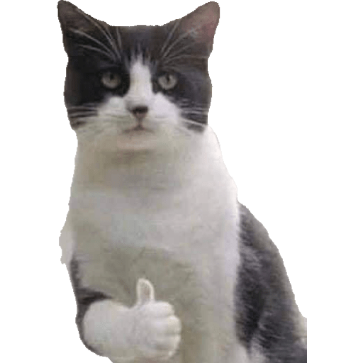 Memes chistosos 16