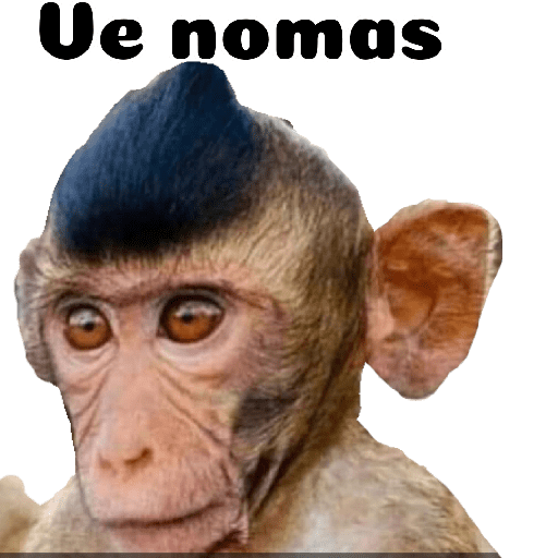 Memes chistosos 8
