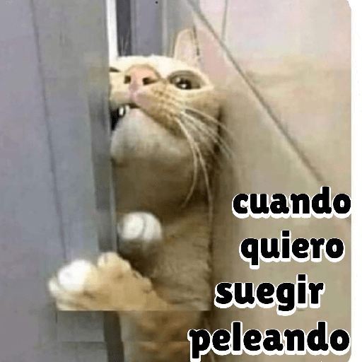 Memes chistosos 7