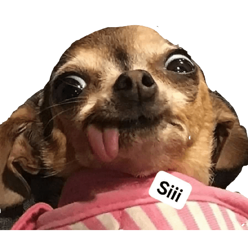Memes chistosos 17