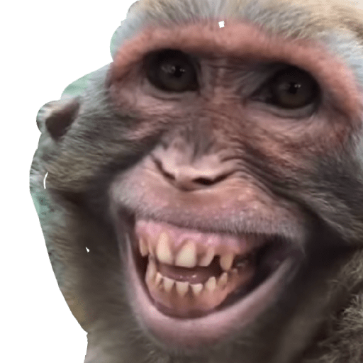 Memes chistosos 13