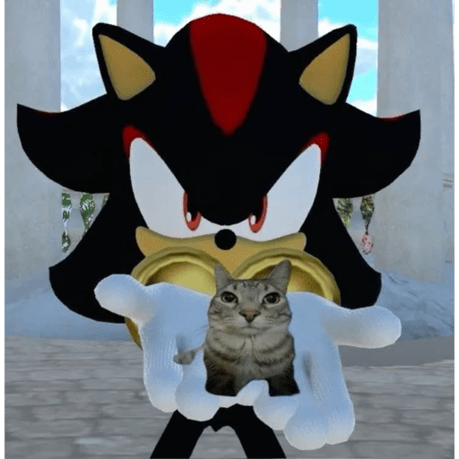 Sonic shadow <3