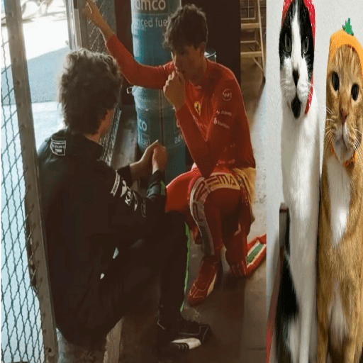 Bearnelli (Kimi & Oliver)