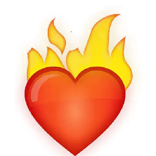 Amore 💖 24