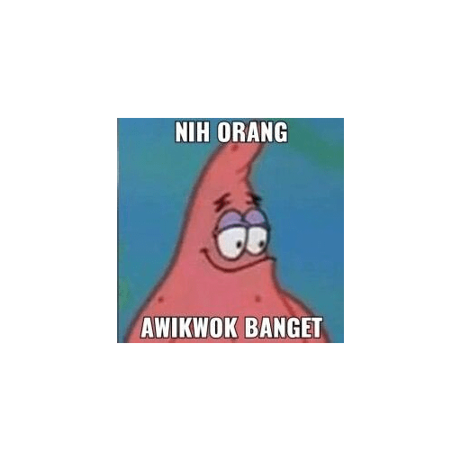 Patrick 16