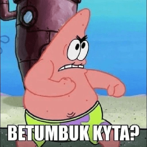Patrick 13