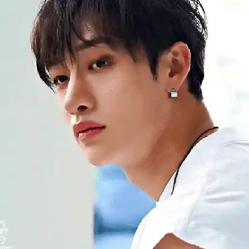 🍡ؐ ֶINFERNAL↽ BANGCHAN 1