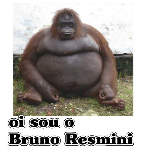 Hahahhaa 11