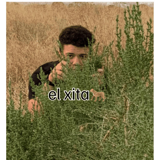Stiker