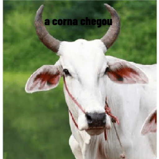 Corna 3