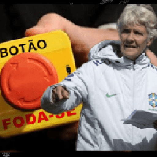 Copa do Mundo Feminina 8