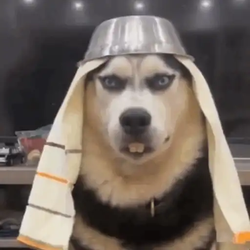 Ruff' moumou enuff, snuff 4
