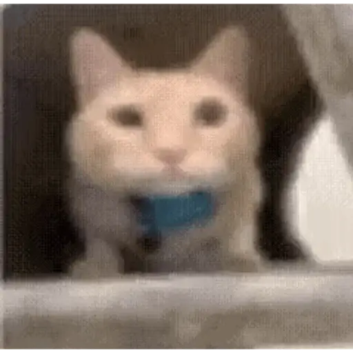 Ruff' moumou enuff, snuff 2
