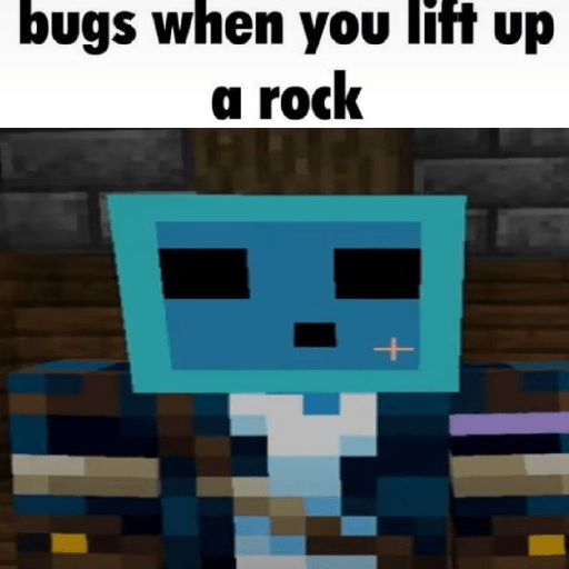 Minecraft SMP 5
