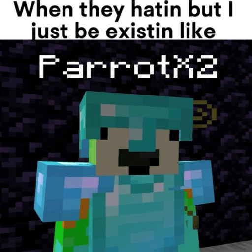 Minecraft SMP 11