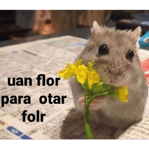 Memes mix 2 6