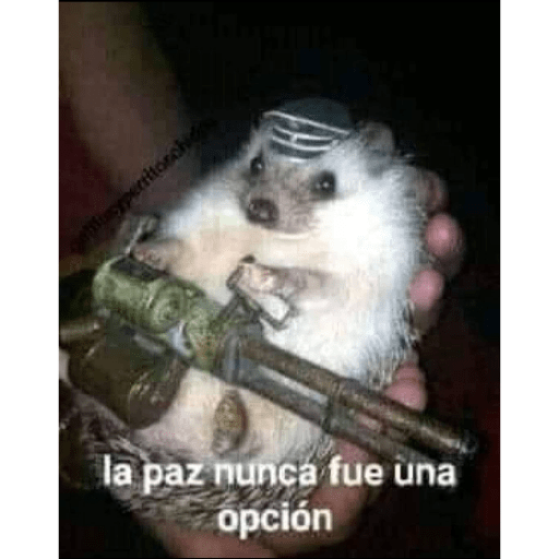 Memes mix 2 25