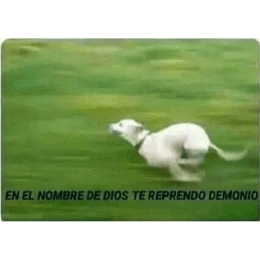 Memes mix 2 4