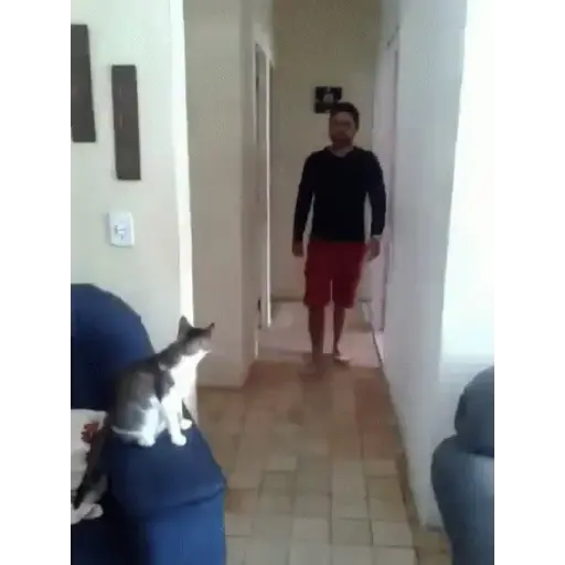Puñitos 5