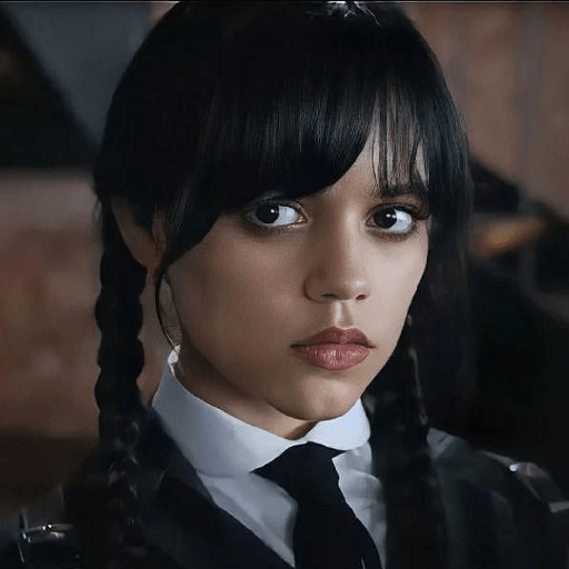 Wandinha Addams 24