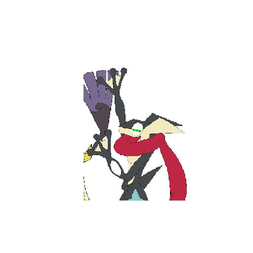 Greninja Shiny 30