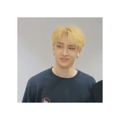 Straykids 1