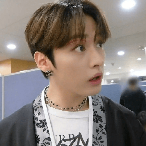 Straykids 29