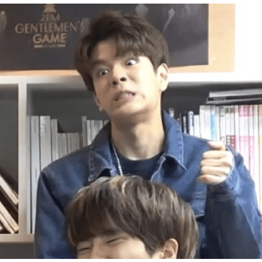 Straykids 13