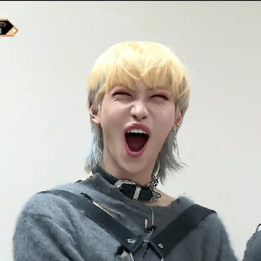 Straykids 11